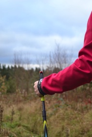 Nordic walking pole
